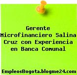 Gerente Microfinanciero Salina Cruz con Experiencia en Banca Comunal
