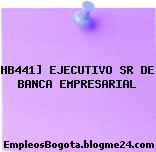 HB441] EJECUTIVO SR DE BANCA EMPRESARIAL