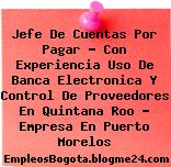Jefe De Cuentas Por Pagar – Con Experiencia Uso De Banca Electronica Y Control De Proveedores En Quintana Roo – Empresa En Puerto Morelos