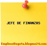 JEFE DE FINANZAS