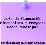 Jefe de Planeación Finanaciera – Proyecto Banca Municipal
