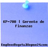 KP-700 | Gerente de Finanzas