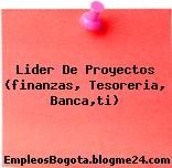 Lider De Proyectos (finanzas, Tesoreria, Banca,ti)