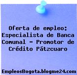 Oferta de empleo: Especialista de Banca Comunal – Promotor de Crédito Pátzcuaro