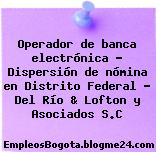 Operador de banca electrónica – Dispersión de nómina en Distrito Federal – Del Río & Lofton y Asociados S.C