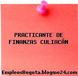 PRACTICANTE DE FINANZAS CULIACÁN