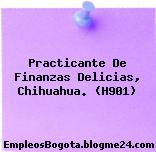 Practicante De Finanzas Delicias, Chihuahua. (H901)