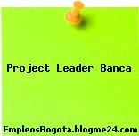 Project Leader Banca