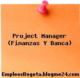 Project Manager (Finanzas Y Banca)