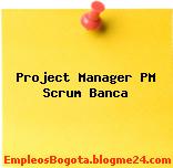 Project Manager PM Scrum Banca