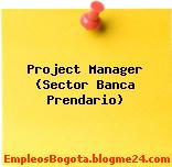 Project Manager (Sector Banca Prendario)