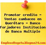 Promotor credito – Ventas cambaceo en Querétaro – Banco Forjadores Institucion de Banca Multiple