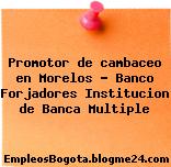 Promotor de cambaceo en Morelos – Banco Forjadores Institucion de Banca Multiple