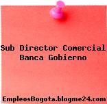 Sub Director Comercial Banca Gobierno