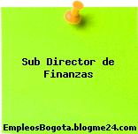 Sub Director de Finanzas