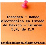 Tesorero – Banca electronica en Estado de México – Teloram S.A. de C.V