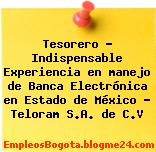 Tesorero – Indispensable Experiencia en manejo de Banca Electrónica en Estado de México – Teloram S.A. de C.V