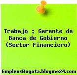 Trabajo : Gerente de Banca de Gobierno (Sector Financiero)