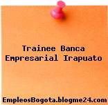 Trainee Banca Empresarial Irapuato