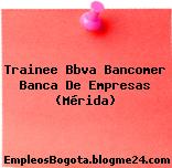 Trainee Bbva Bancomer Banca De Empresas (Mérida)