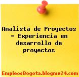 Analista de Proyectos – Experiencia en desarrollo de proyectos