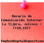 Becario de Comunicación Interna- La Tijera, Jalisco – (TIA.197)
