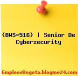 (BWS-516) | Senior De Cybersecurity