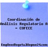 Coordinación de Análisis Regulatorio A – COFECE