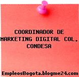 COORDINADOR DE MARKETING DIGITAL COL. CONDESA