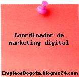 Coordinador de marketing digital