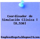 Coordinador de Simulación Clinica | [B.530]