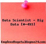 Data Scientist – Big Data [W-493]