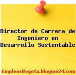 Director de Carrera de Ingeniero en Desarrollo Sustentable
