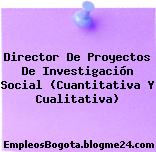 Director De Proyectos De Investigación Social (Cuantitativa Y Cualitativa)