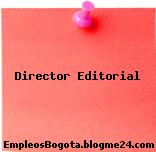 Director Editorial