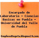 Encargado de Laboratorio – Ciencias Basicas en Puebla – Universidad del Valle de Puebla