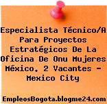 Especialista Técnico/A Para Proyectos Estratégicos De La Oficina De Onu Mujeres México. 2 Vacantes – Mexico City