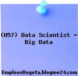 (H57) Data Scientist – Big Data