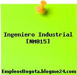 Ingeniero Industrial [NM015]