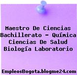Maestro De Ciencias Bachillerato – Química Ciencias De Salud Biología Laboratorio