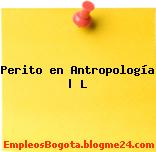 Perito en Antropología | L