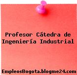 Profesor Cátedra de Ingeniería Industrial