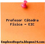 Profesor Cátedra Física – EIC