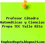 Profesor Cátedra Matemáticas y Ciencias Prepa TEC Valle Alto