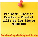 Profesor Ciencias Exactas – Plantel Villa de las flores SABATINO