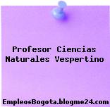 Profesor Ciencias Naturales Vespertino