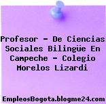 Profesor – De Ciencias Sociales Bilingüe En Campeche – Colegio Morelos Lizardi