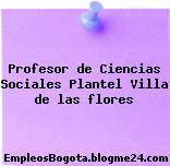 Profesor de Ciencias Sociales Plantel Villa de las flores