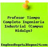 Profesor Tiempo Completo Ingenieria Industrial (Campus Hidalgo)