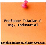 Profesor Titular A Ing. Industrial